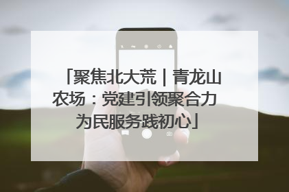 聚焦北大荒｜青龙山农场：党建引领聚合力 为民服务践初心