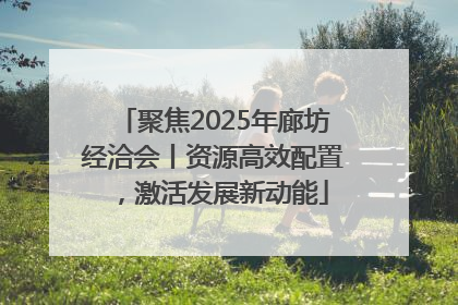 聚焦2025年廊坊经洽会丨资源高效配置，激活发展新动能