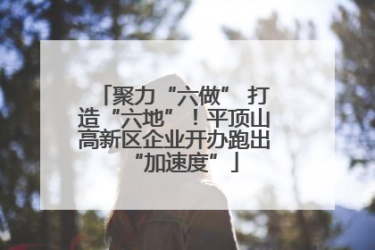 聚力“六做” 打造“六地”！平顶山高新区企业开办跑出“加速度”