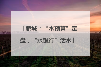 肥城：“水预算”定盘，“水银行”活水