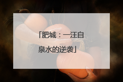 肥城：一汪自泉水的逆袭