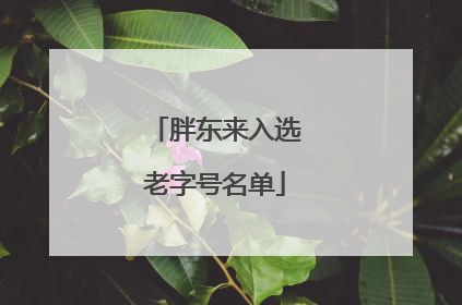 胖东来入选老字号名单