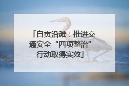 自贡沿滩：推进交通安全“四项整治”行动取得实效