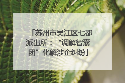苏州市吴江区七都派出所：“调解智囊团”化解涉企纠纷