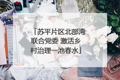 苏平片区北部湾联合党委 激活乡村治理一池春水