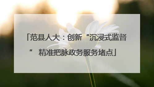 范县人大：创新“沉浸式监督” 精准把脉政务服务堵点