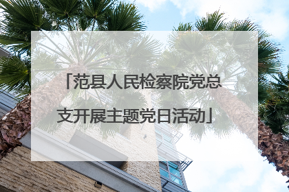 范县人民检察院党总支开展主题党日活动