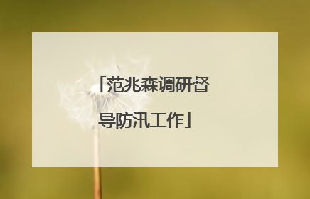 范兆森调研督导防汛工作