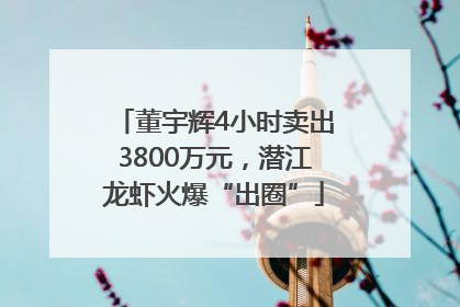 董宇辉4小时卖出3800万元，潜江龙虾火爆“出圈”