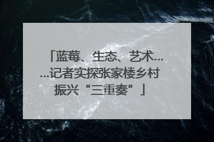 蓝莓、生态、艺术……记者实探张家楼乡村振兴“三重奏”