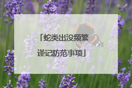蛇类出没频繁 谨记防范事项