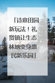 诗意田园新玩法！礼贤镇让生态林地变身惠民新乐园