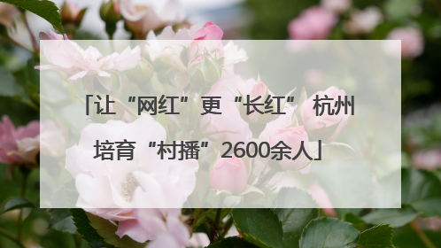 让“网红”更“长红” 杭州培育“村播”2600余人