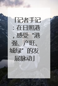 记者手记：在日照港，感受“港强、产旺、城绿”的发展脉动