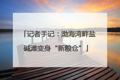 记者手记：渤海湾畔盐碱滩变身“新粮仓”