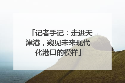 记者手记：走进天津港，窥见未来现代化港口的模样