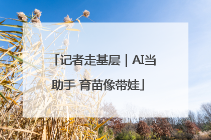 记者走基层｜AI当助手 育苗像带娃