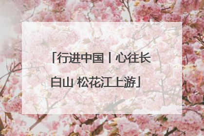 行进中国丨心往长白山 松花江上游
