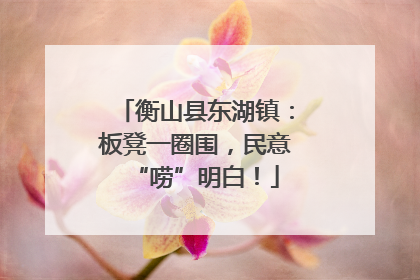 衡山县东湖镇：板凳一圈围，民意“唠”明白！