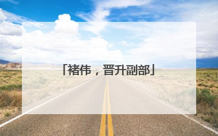 褚伟，晋升副部