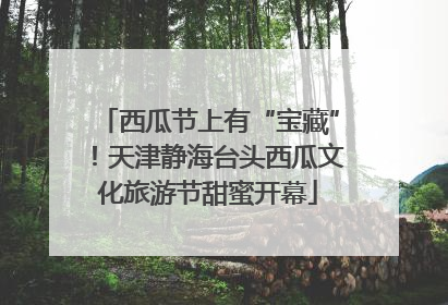 西瓜节上有“宝藏”！天津静海台头西瓜文化旅游节甜蜜开幕