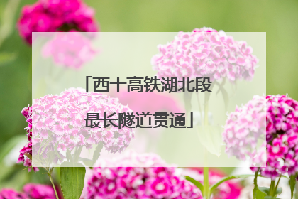 西十高铁湖北段最长隧道贯通