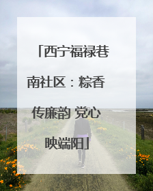 西宁福禄巷南社区：粽香传廉韵 党心映端阳