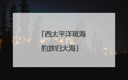 西太平洋斑海豹放归大海