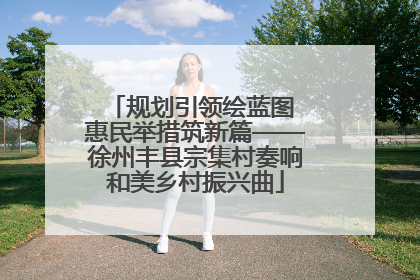 规划引领绘蓝图 惠民举措筑新篇——徐州丰县宗集村奏响和美乡村振兴曲