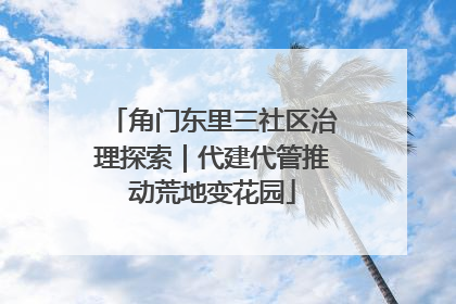 角门东里三社区治理探索｜代建代管推动荒地变花园
