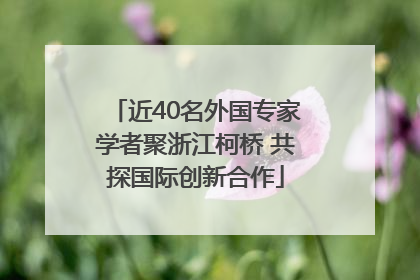 近40名外国专家学者聚浙江柯桥 共探国际创新合作