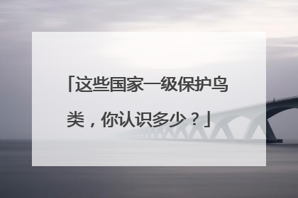 这些国家一级保护鸟类，你认识多少？