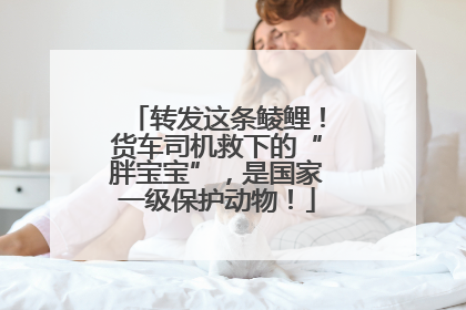 转发这条鲮鲤！货车司机救下的“胖宝宝”，是国家一级保护动物！