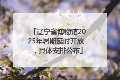 辽宁省博物馆2025年暑期延时开放，具体安排公布