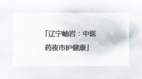辽宁岫岩：中医药夜市护健康
