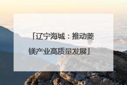 辽宁海城：推动菱镁产业高质量发展