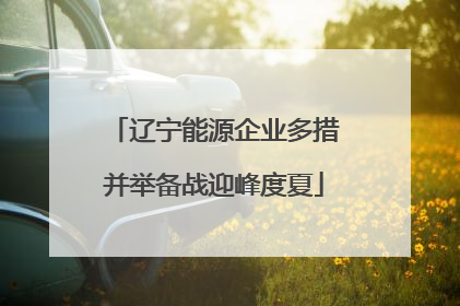 辽宁能源企业多措并举备战迎峰度夏