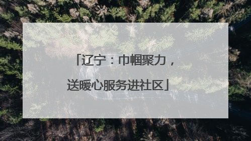 辽宁：巾帼聚力，送暖心服务进社区