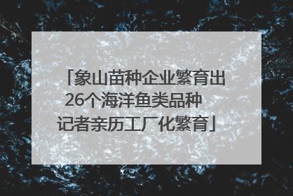 象山苗种企业繁育出26个海洋鱼类品种 记者亲历工厂化繁育