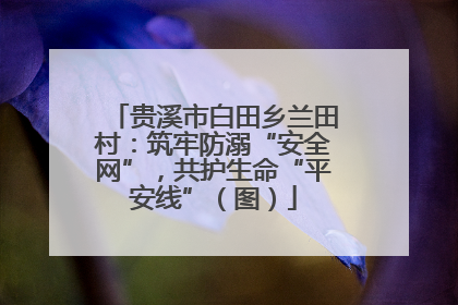 贵溪市白田乡兰田村：筑牢防溺“安全网”，共护生命“平安线”（图）