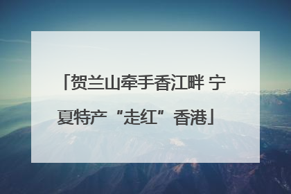 贺兰山牵手香江畔 宁夏特产“走红”香港