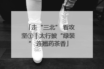 走“三北” 看攻坚①｜太行披“绿装” 连翘药茶香