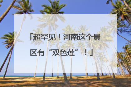 超罕见！河南这个景区有“双色莲”！
