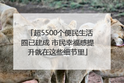 超5500个便民生活圈已建成 市民幸福感提升就在这些细节里