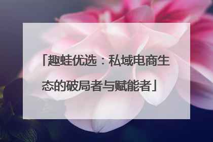 趣蛙优选：私域电商生态的破局者与赋能者