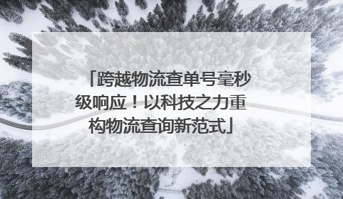 跨越物流查单号毫秒级响应！以科技之力重构物流查询新范式