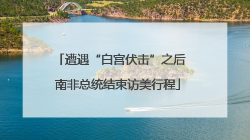 遭遇“白宫伏击”之后 南非总统结束访美行程