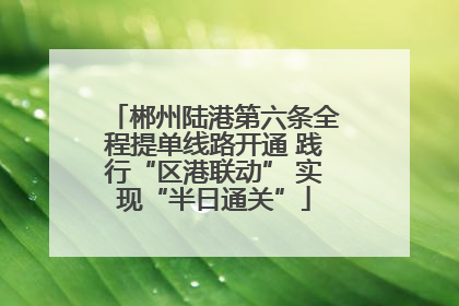 郴州陆港第六条全程提单线路开通 践行“区港联动” 实现“半日通关”