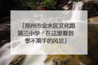 郑州市金水区文化路第三小学：在这里看到拳不离手的风景