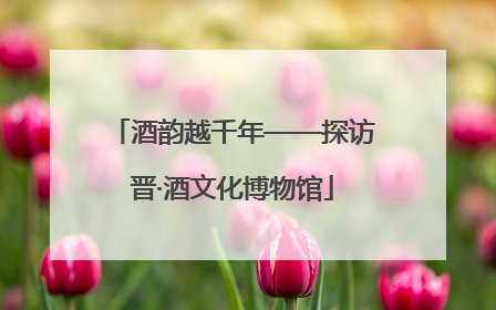 酒韵越千年——探访晋·酒文化博物馆